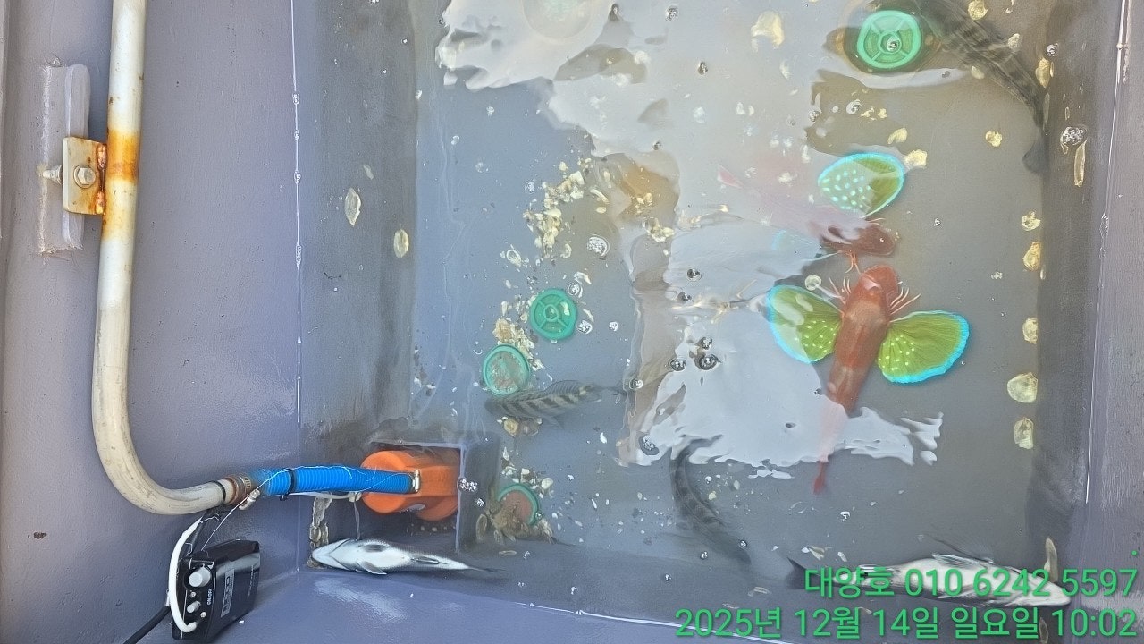 ����ڰ� �ø� �̹���