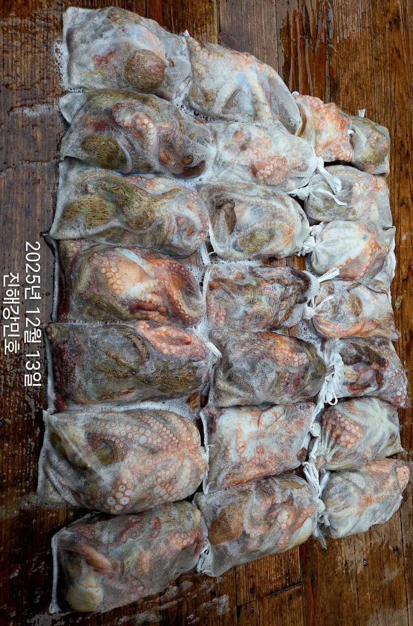 ����ڰ� �ø� �̹���