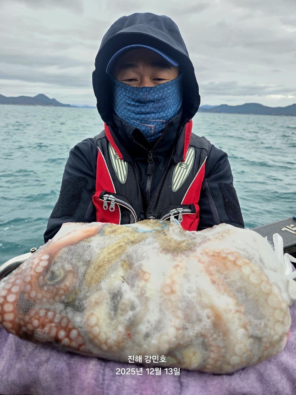 ����ڰ� �ø� �̹���