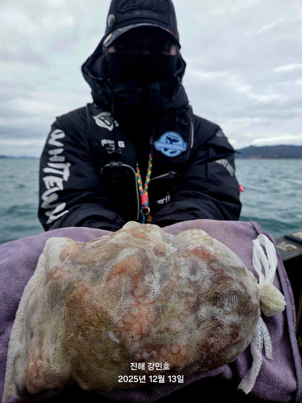 ����ڰ� �ø� �̹���