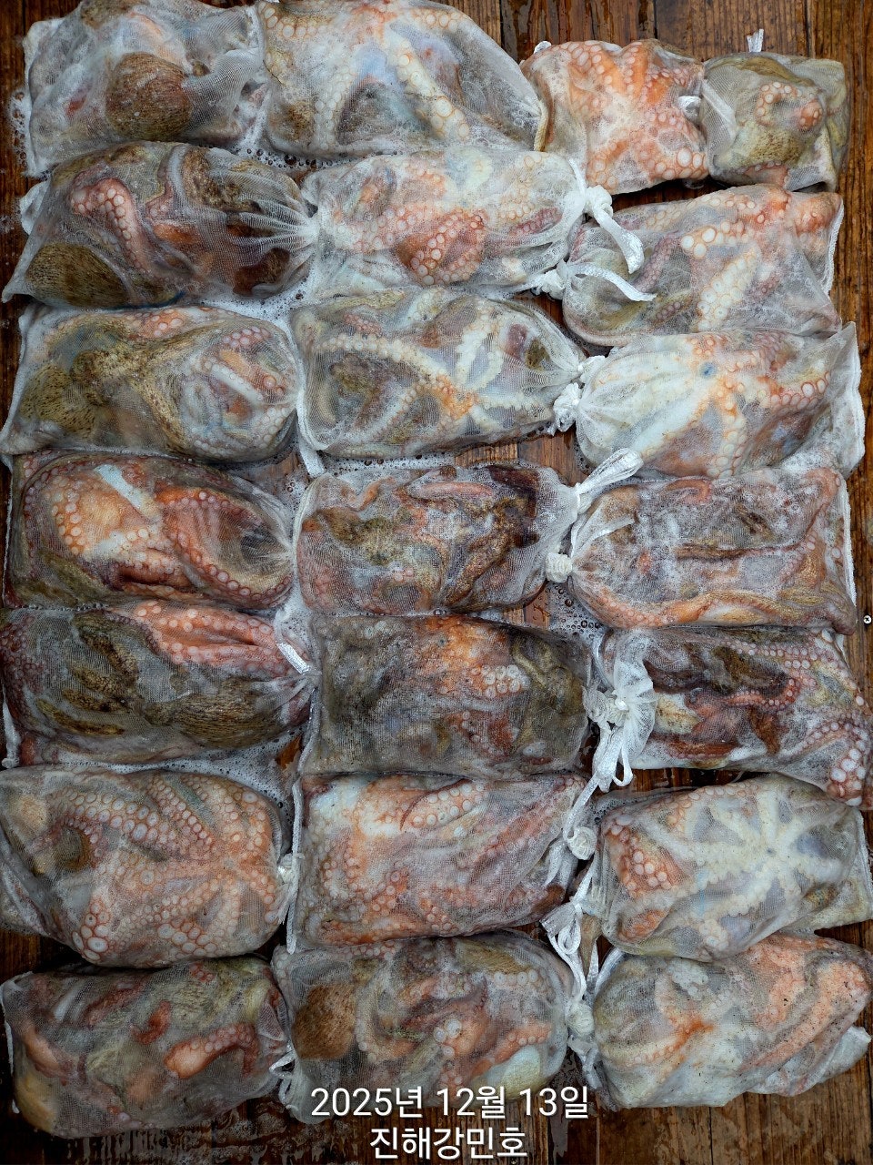 ����ڰ� �ø� �̹���