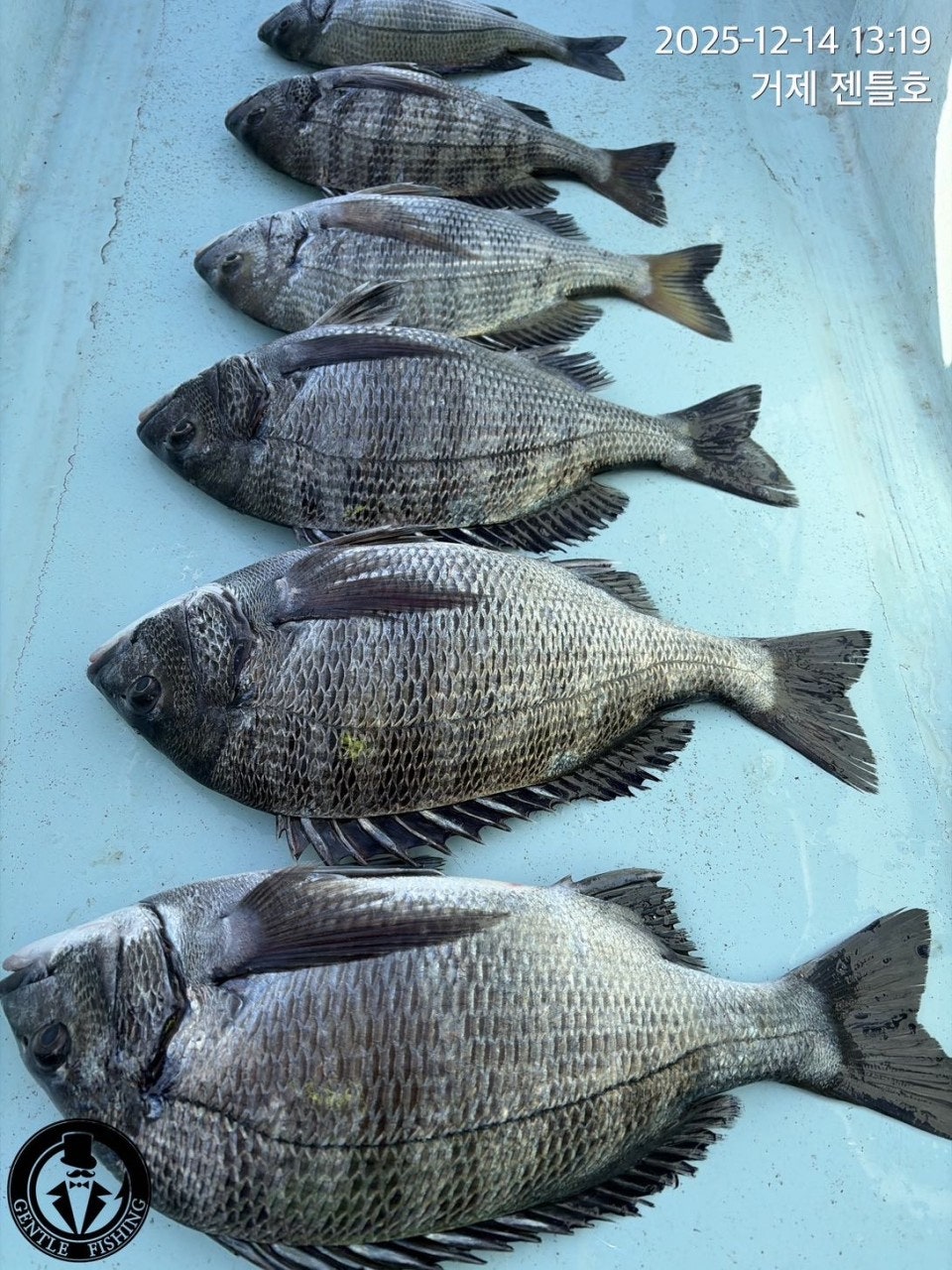 ����ڰ� �ø� �̹���