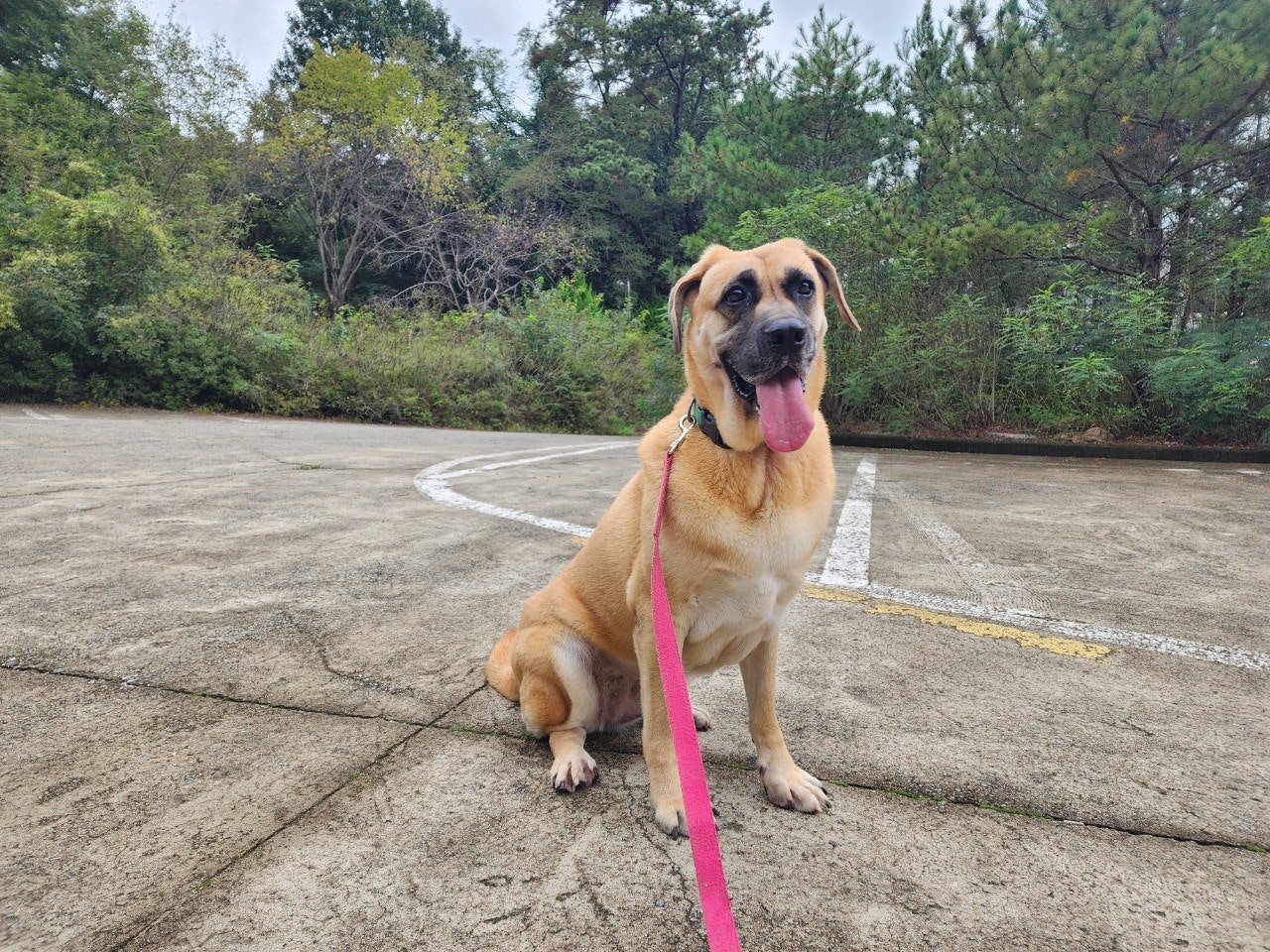 사용자가 올린 이미지