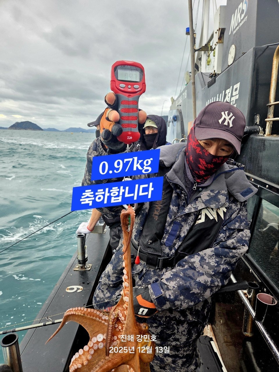 ����ڰ� �ø� �̹���