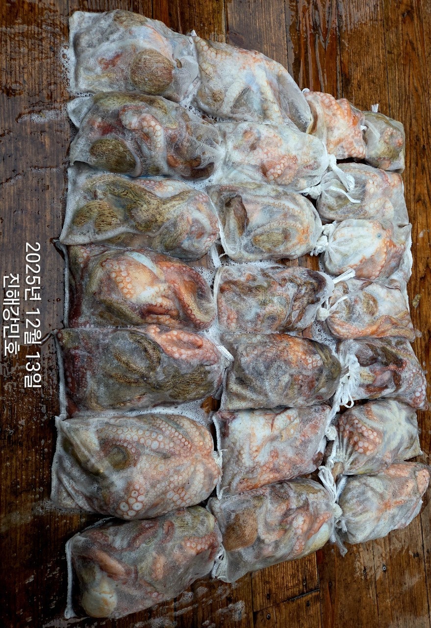 ����ڰ� �ø� �̹���