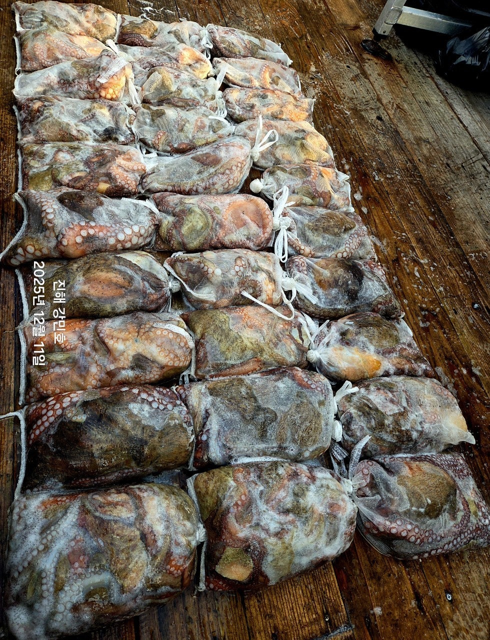 ����ڰ� �ø� �̹���