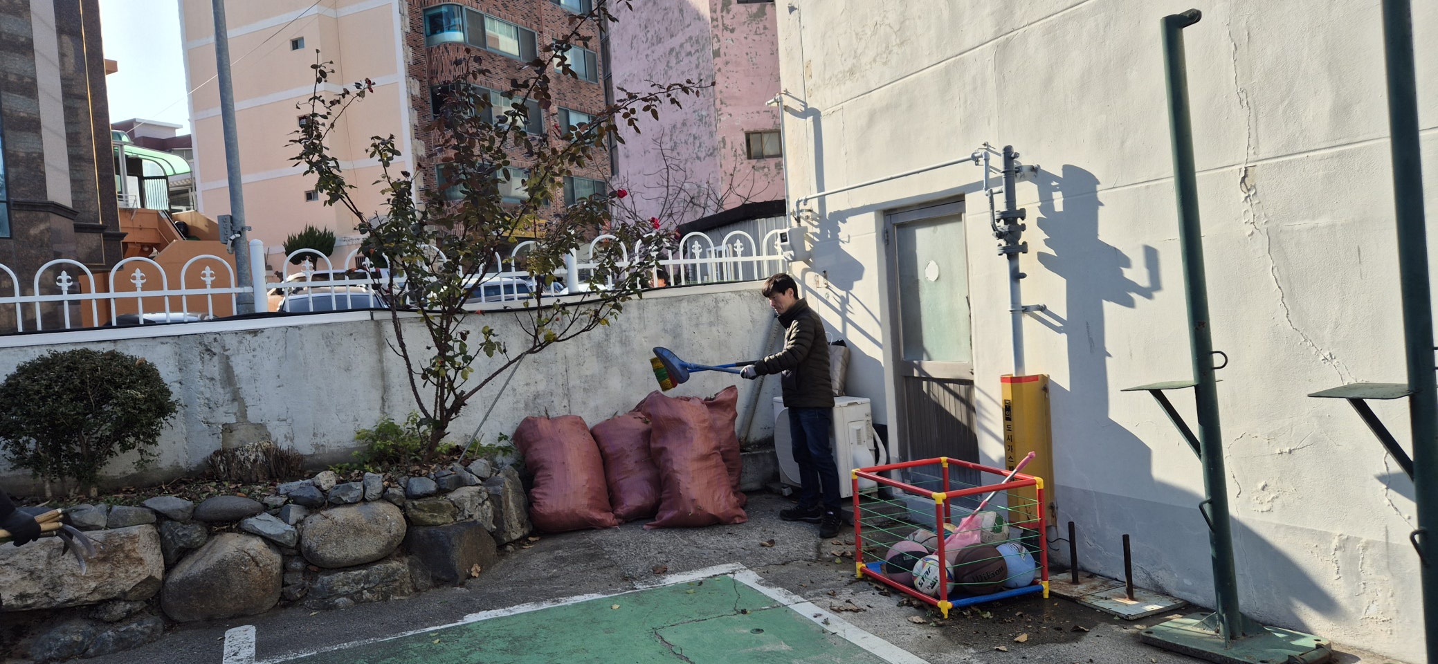 사용자가 올린 이미지