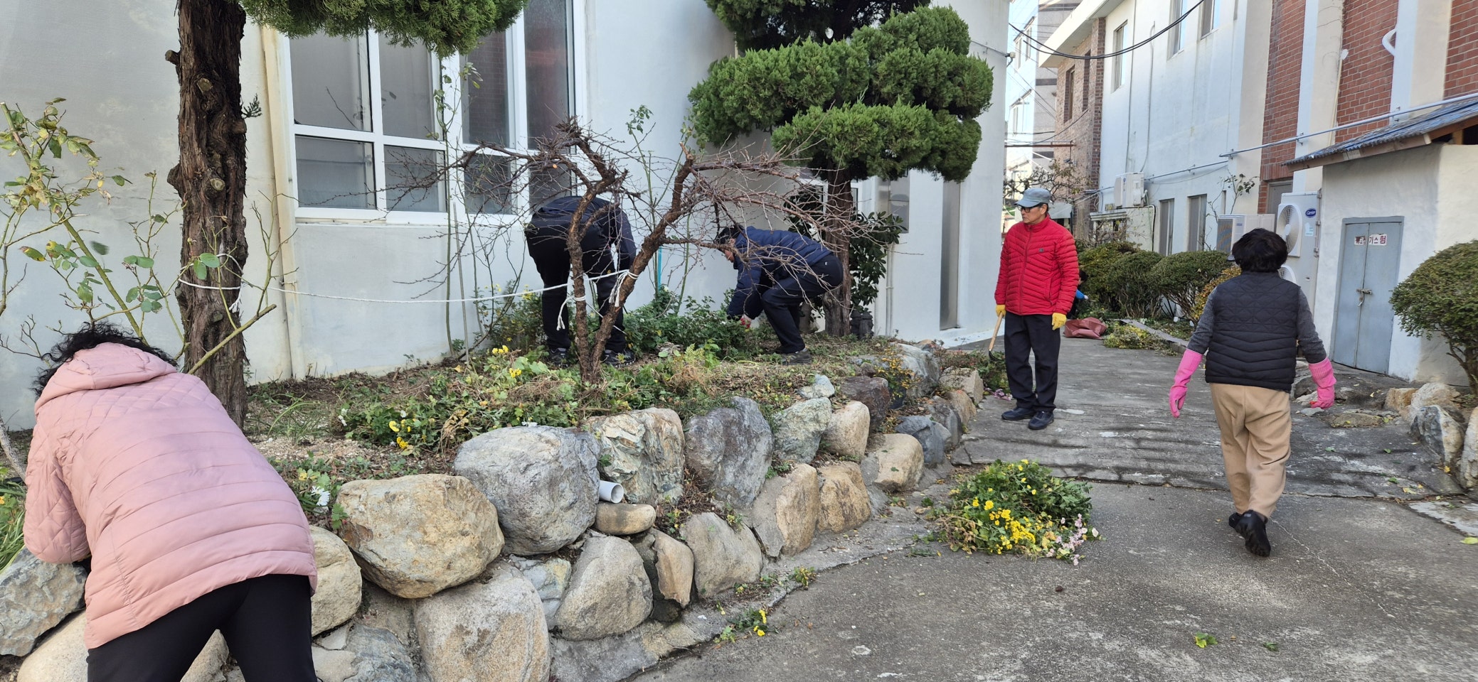 사용자가 올린 이미지