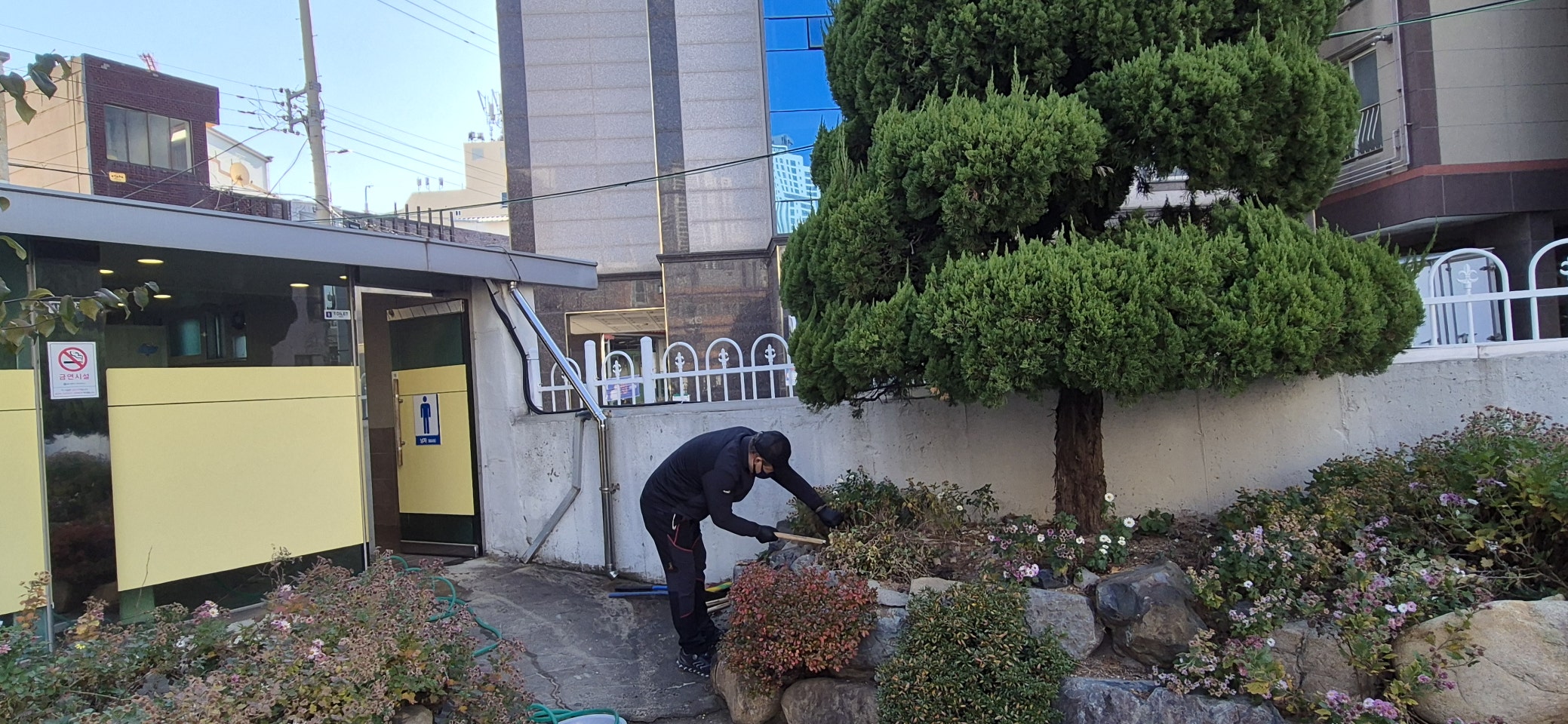 사용자가 올린 이미지