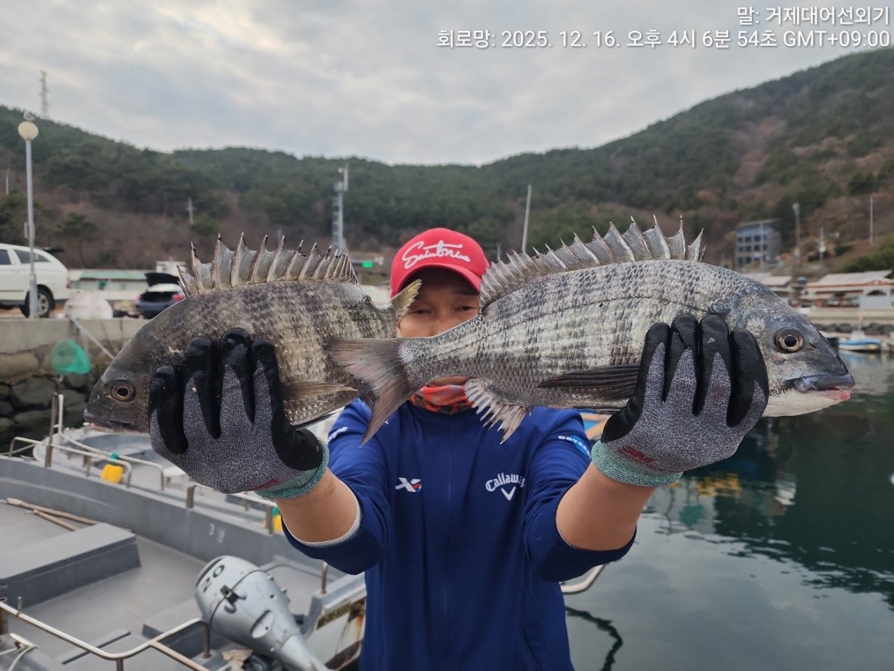 사용자가 올린 이미지