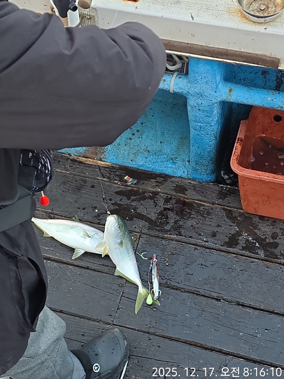 사용자가 올린 이미지