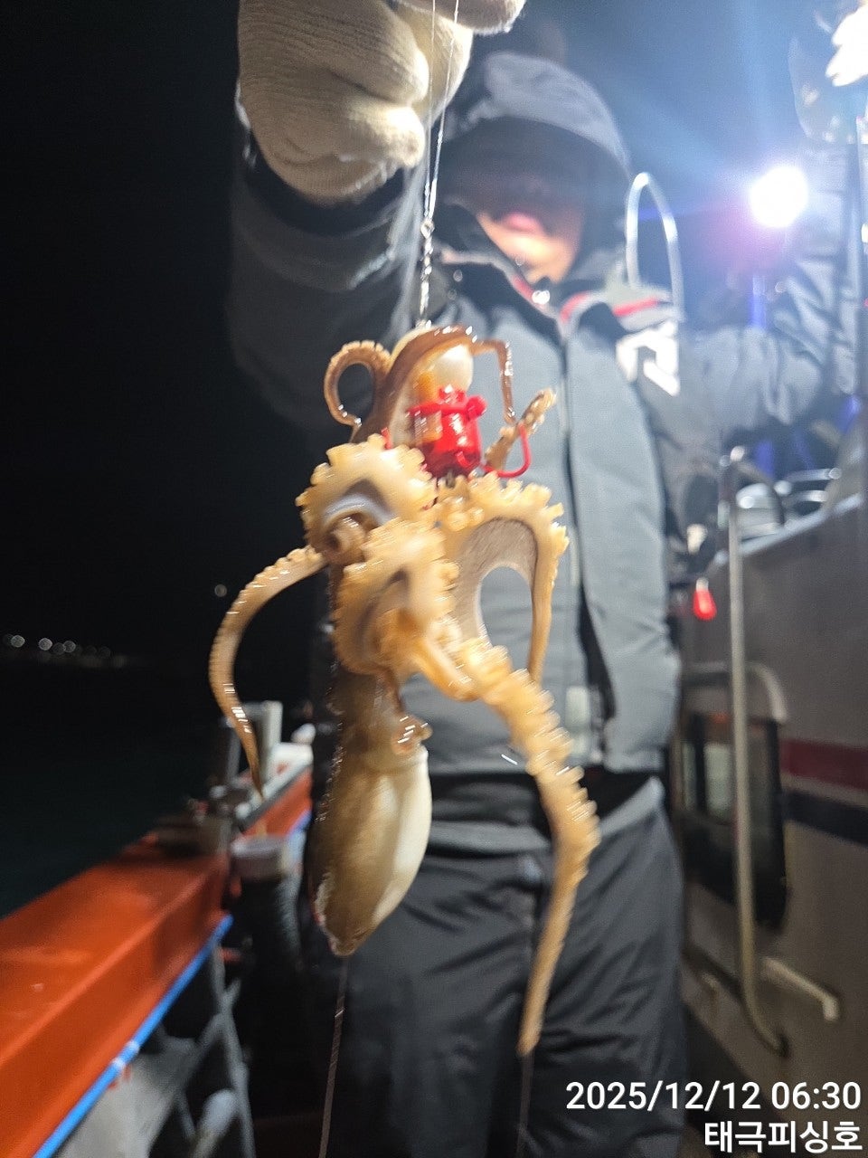 사용자가 올린 이미지