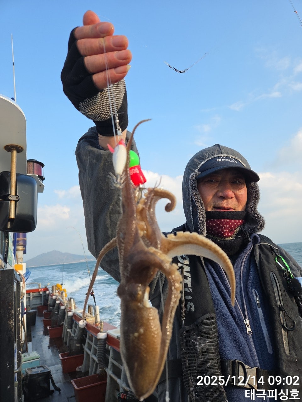 사용자가 올린 이미지