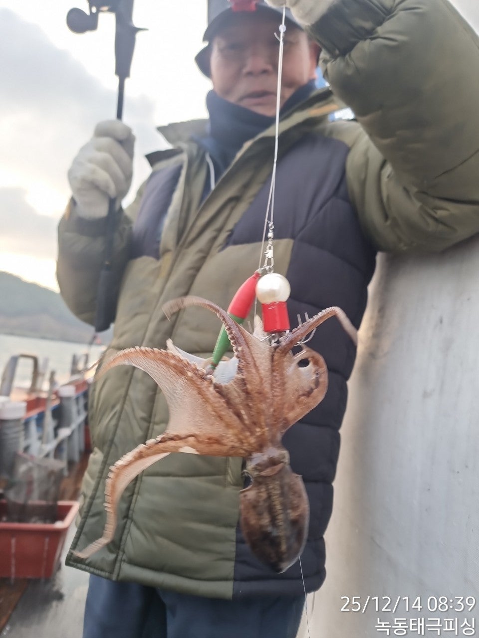 사용자가 올린 이미지