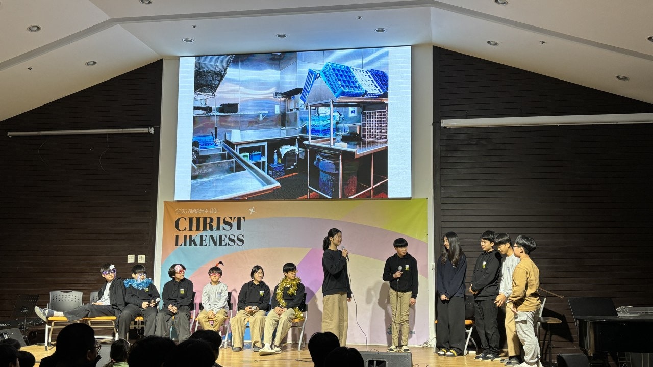 ����ڰ� �ø� �̹���