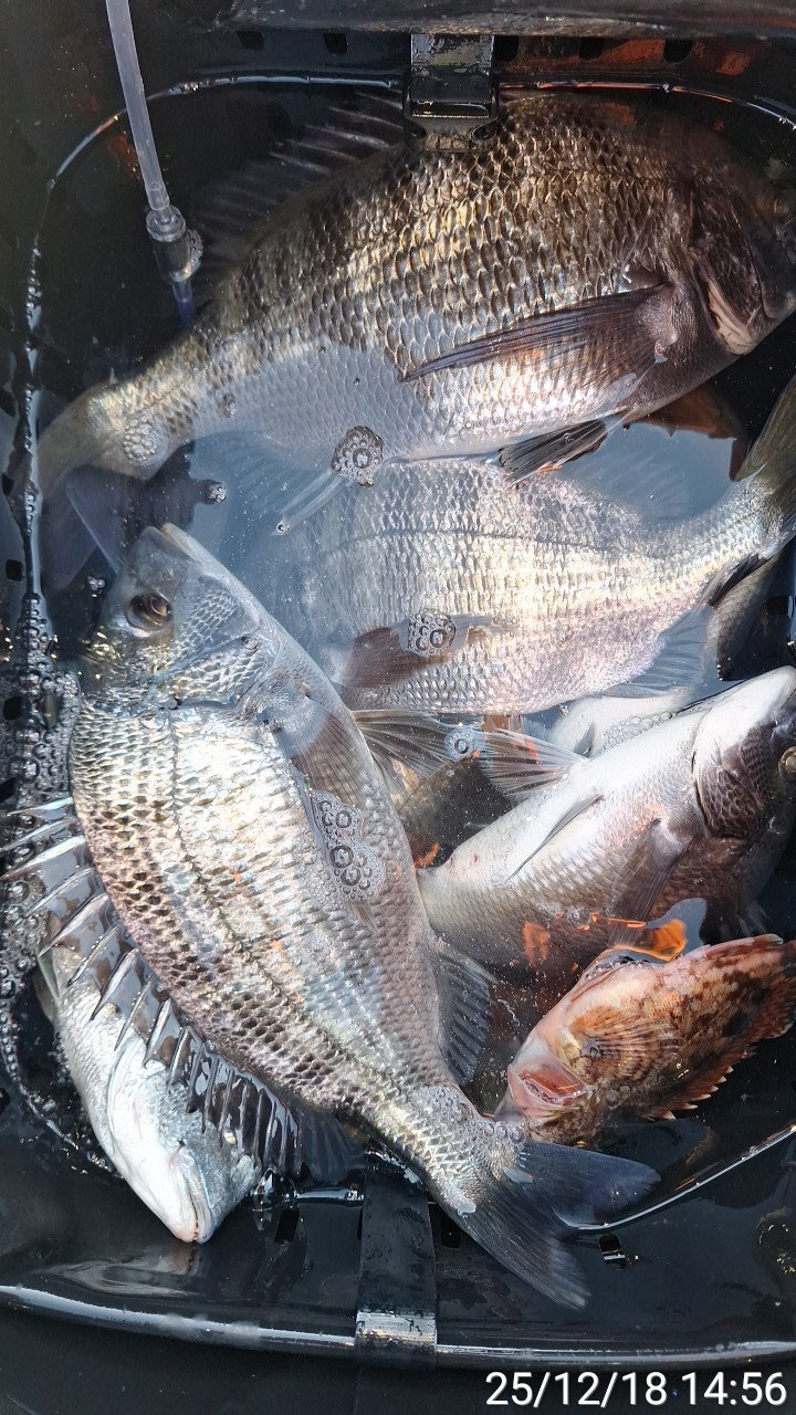 ����ڰ� �ø� �̹���