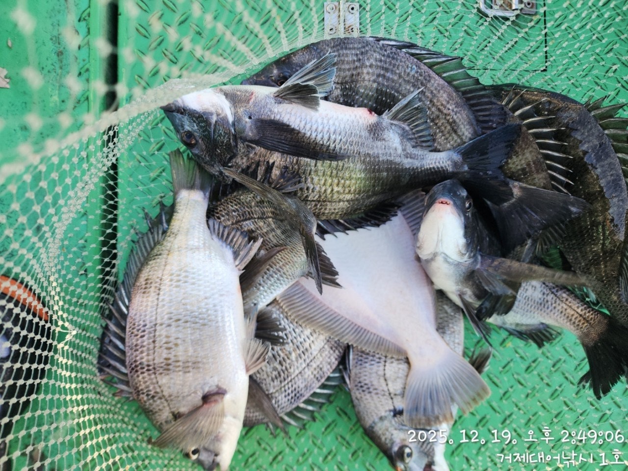 ����ڰ� �ø� �̹���