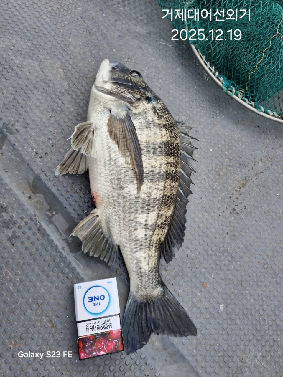 ����ڰ� �ø� �̹���