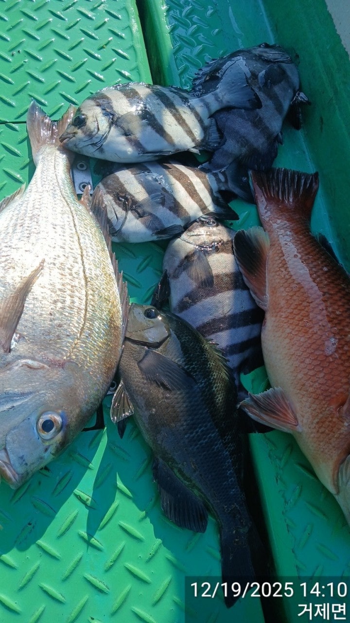 ����ڰ� �ø� �̹���