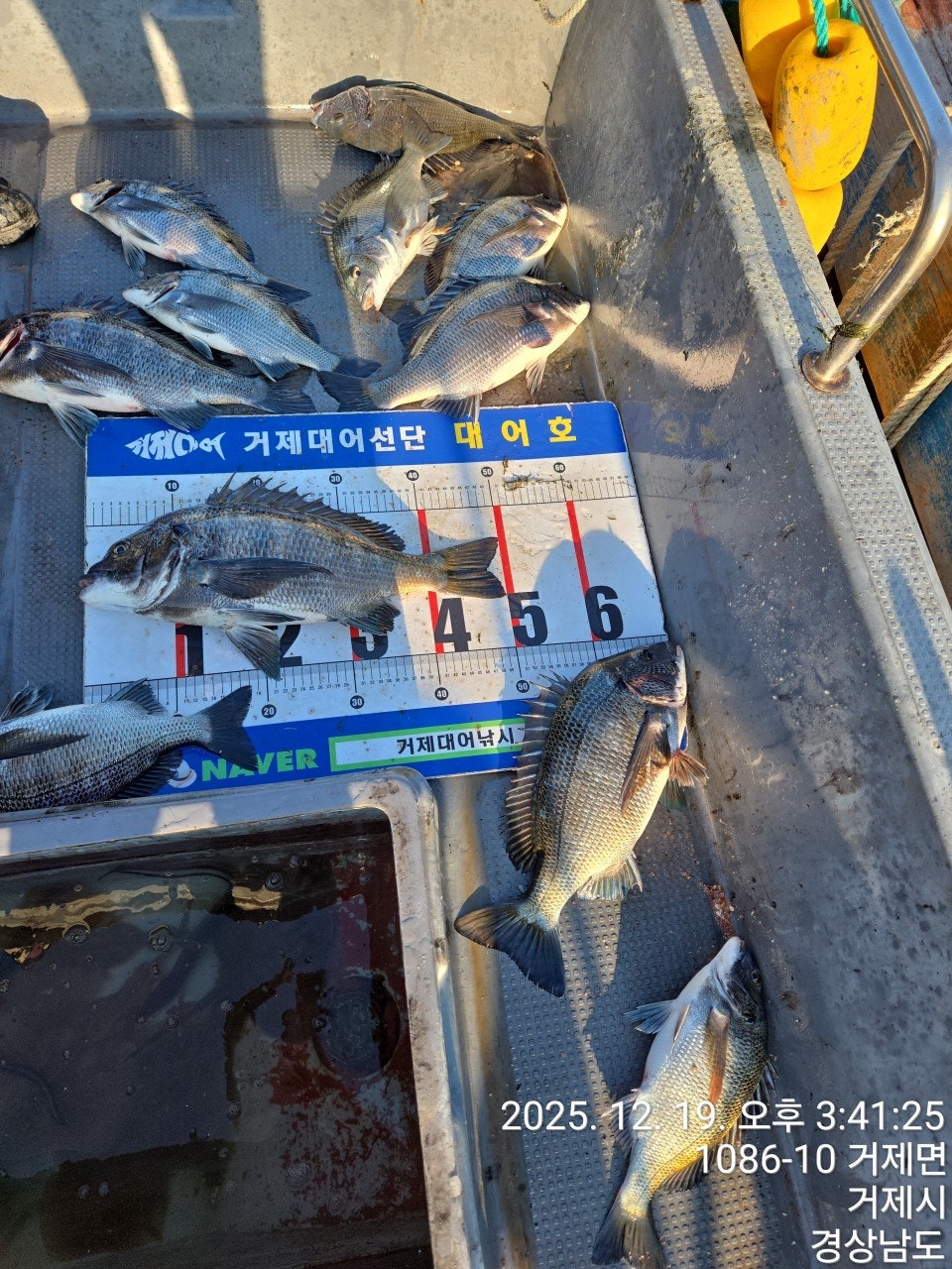 ����ڰ� �ø� �̹���