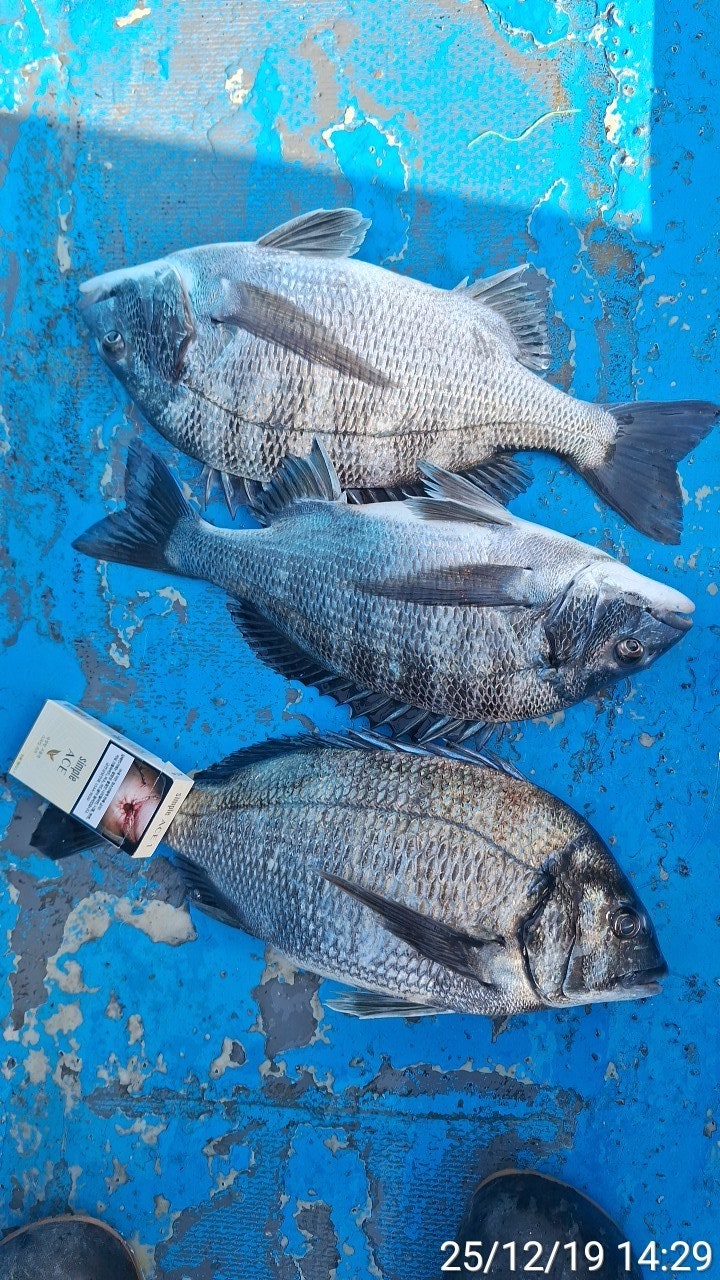 ����ڰ� �ø� �̹���