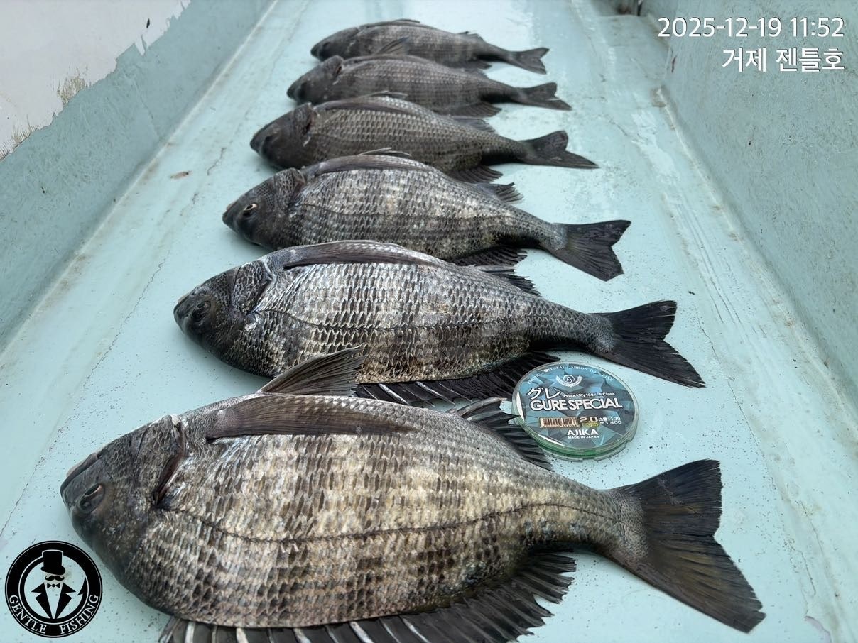 ����ڰ� �ø� �̹���