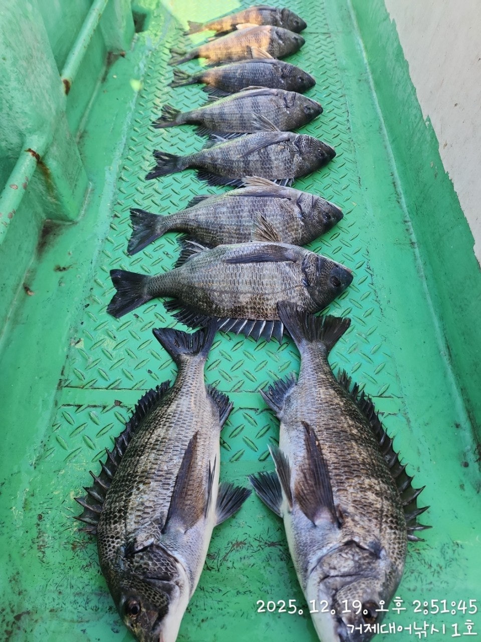 ����ڰ� �ø� �̹���