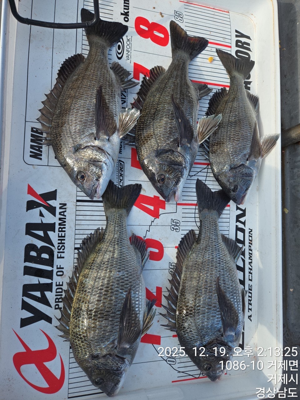 ����ڰ� �ø� �̹���