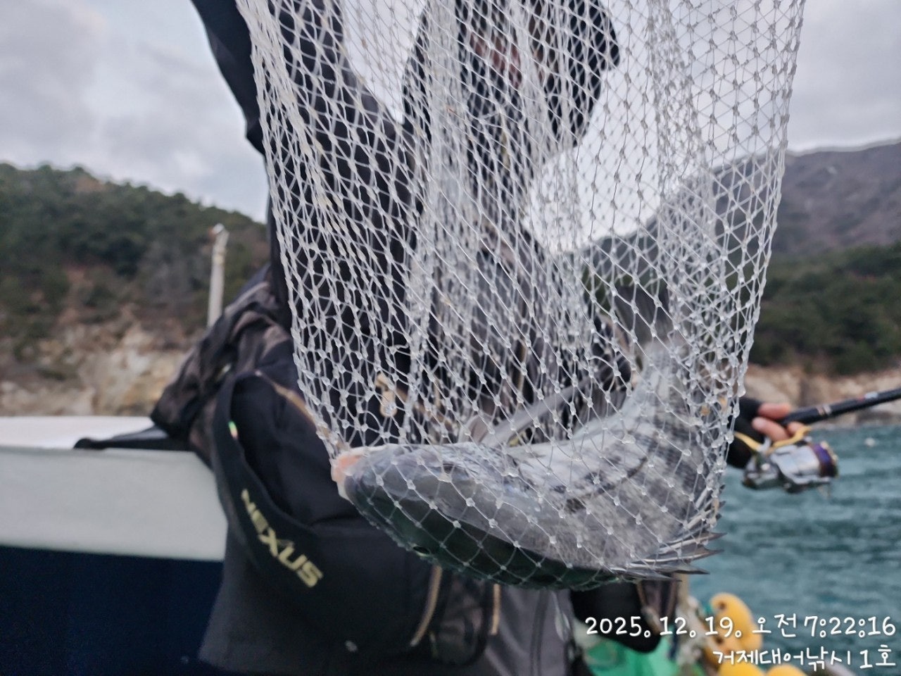 ����ڰ� �ø� �̹���