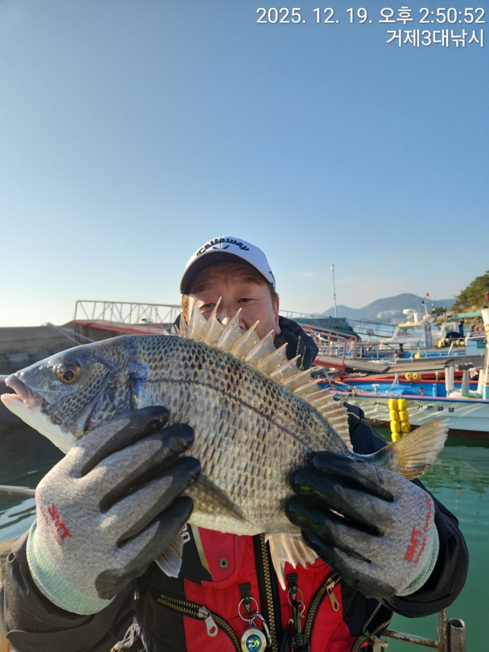 ����ڰ� �ø� �̹���