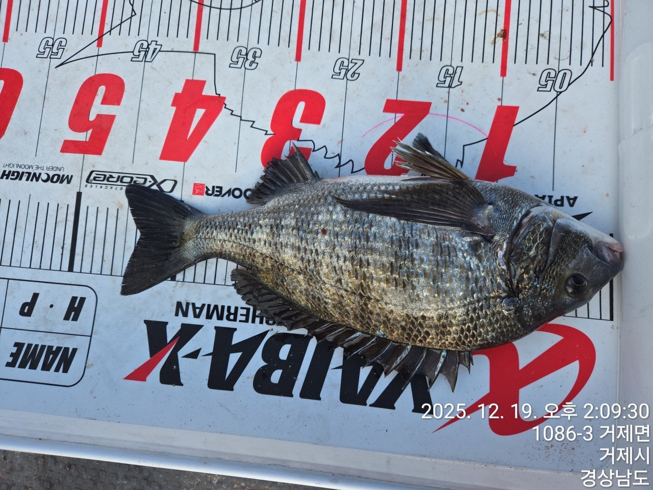 ����ڰ� �ø� �̹���