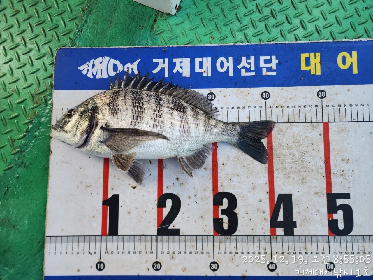 ����ڰ� �ø� �̹���