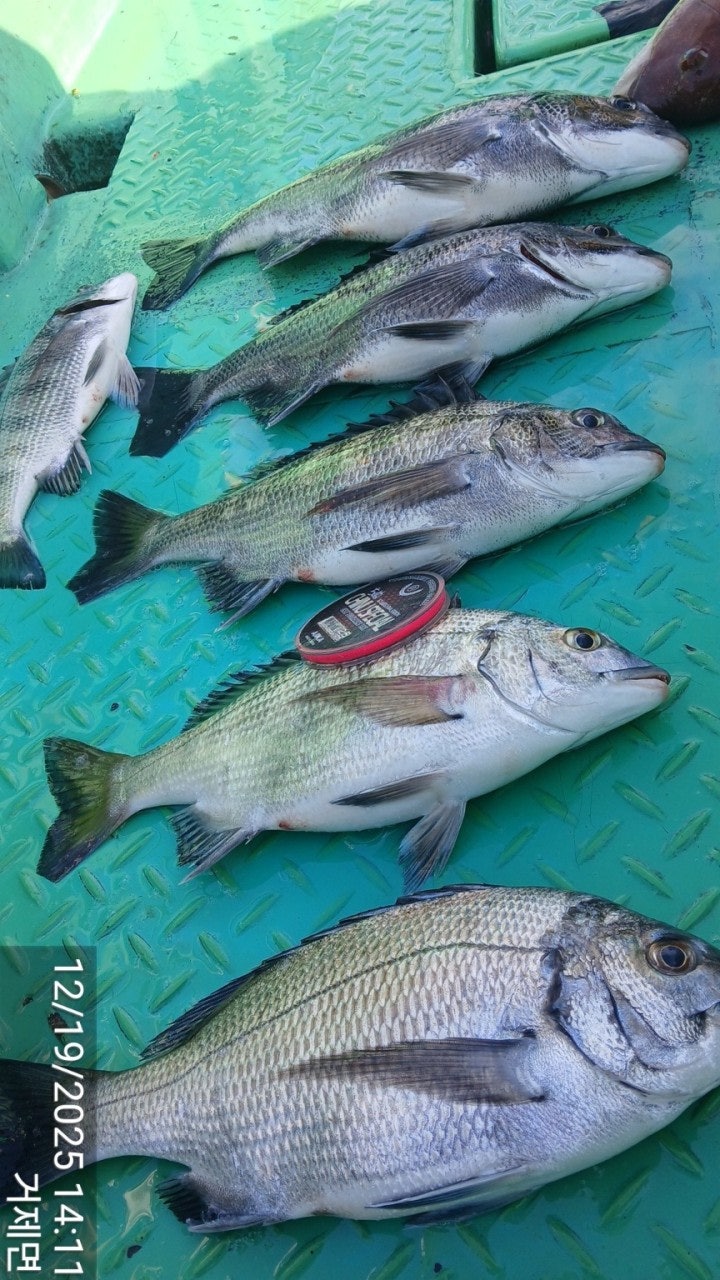 ����ڰ� �ø� �̹���