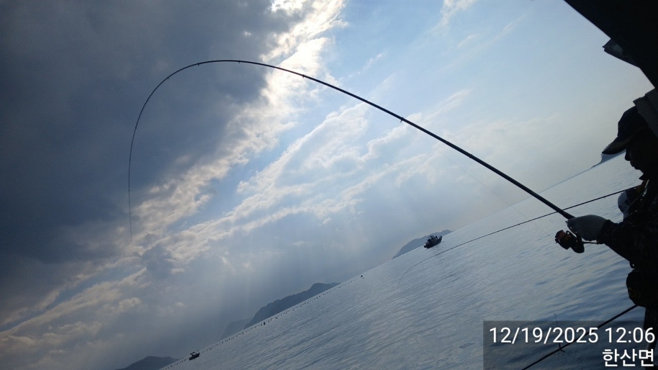 ����ڰ� �ø� �̹���