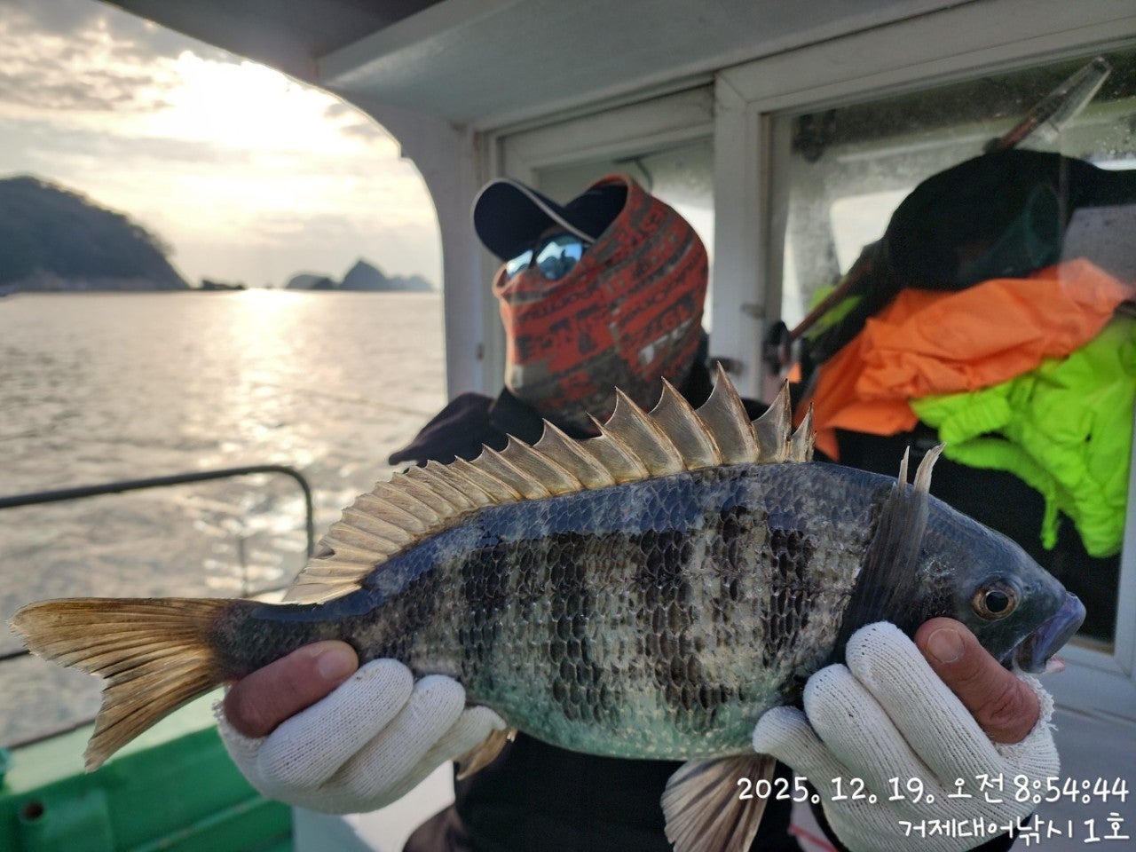 ����ڰ� �ø� �̹���