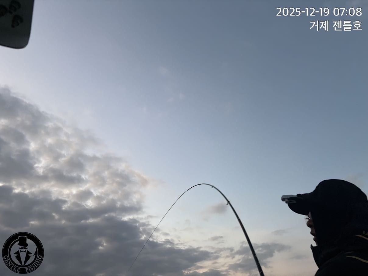 ����ڰ� �ø� �̹���