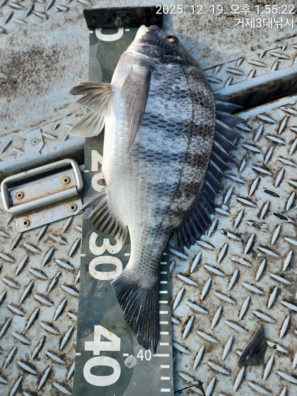 ����ڰ� �ø� �̹���