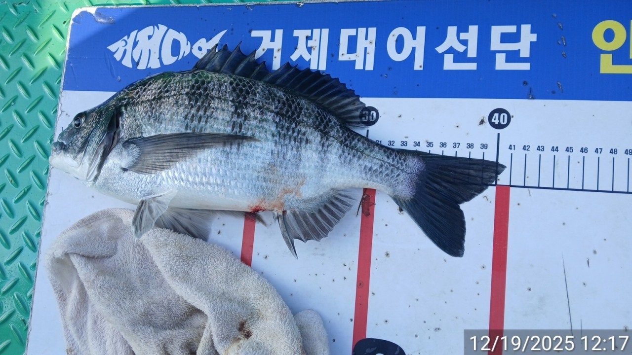 ����ڰ� �ø� �̹���