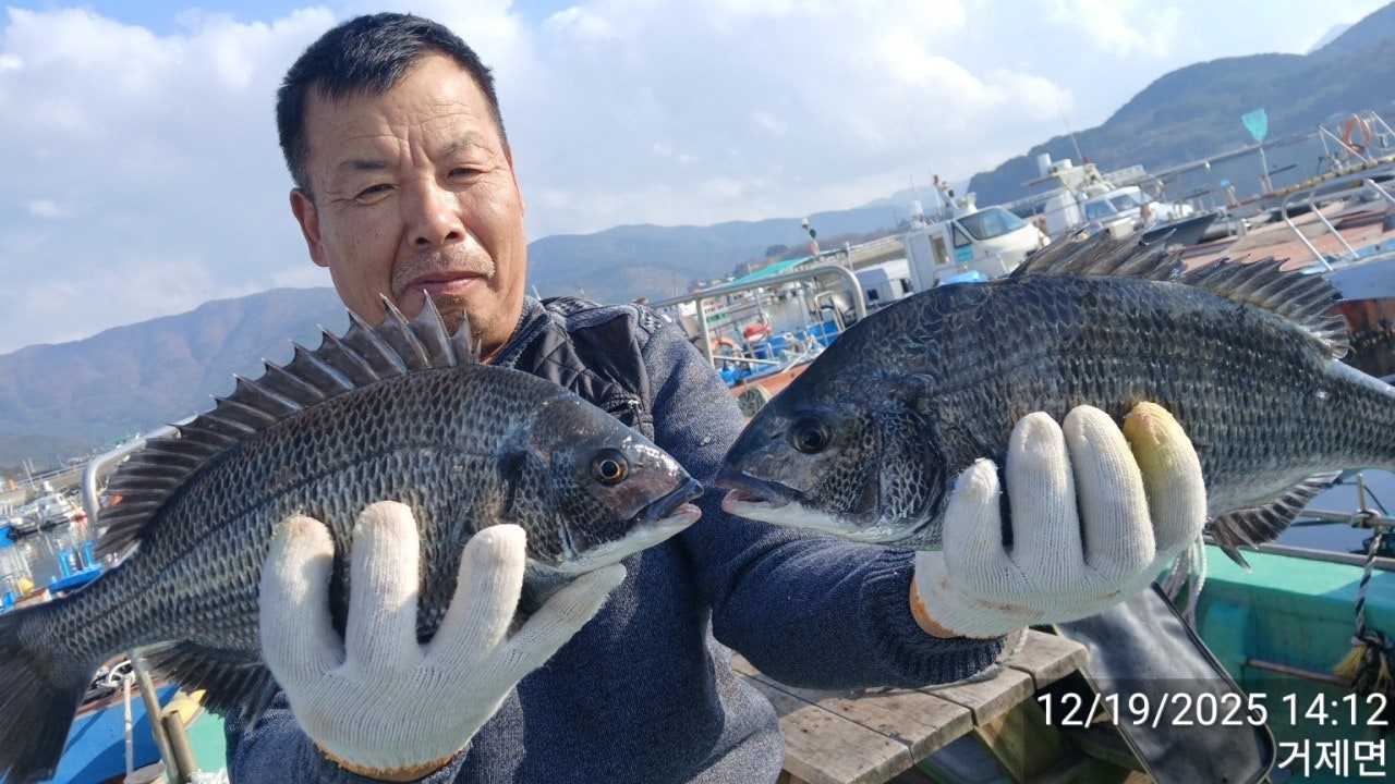 ����ڰ� �ø� �̹���