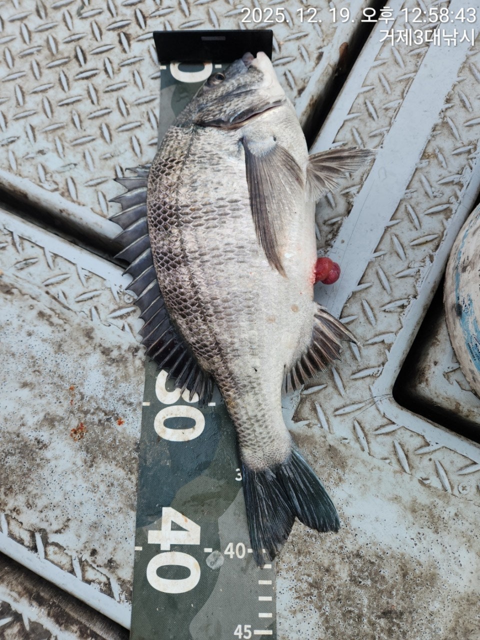 ����ڰ� �ø� �̹���