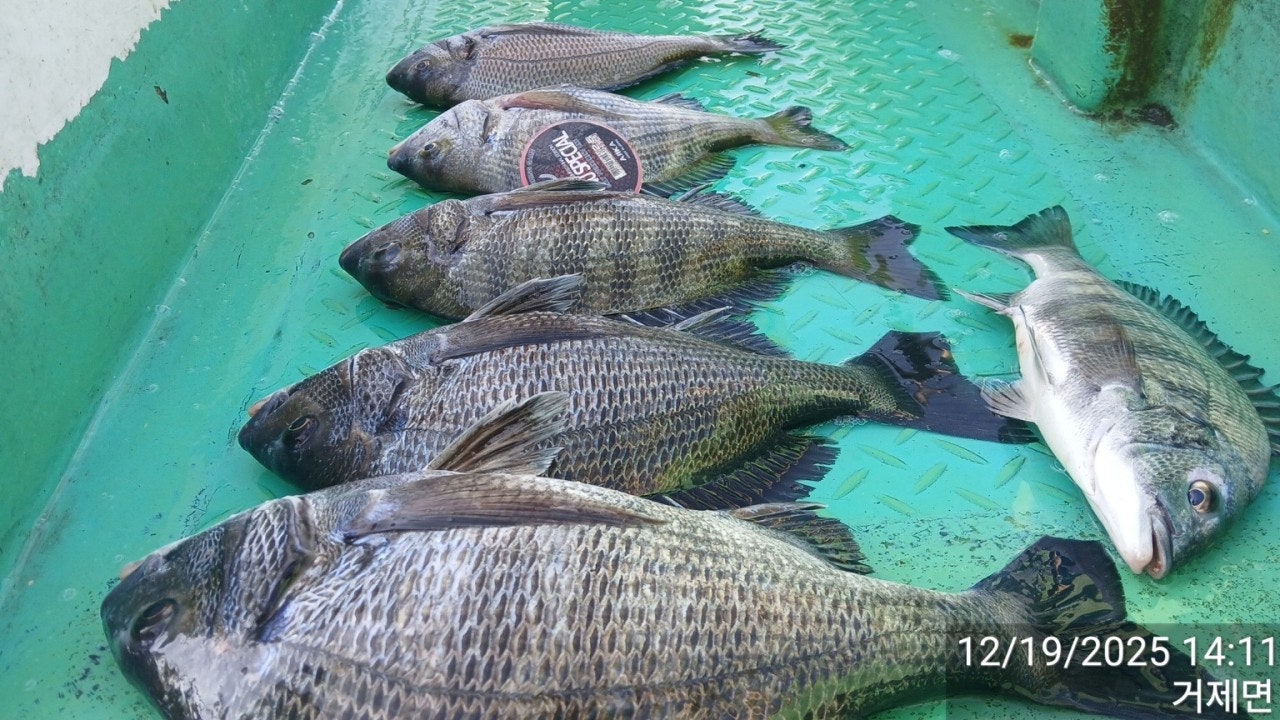 ����ڰ� �ø� �̹���