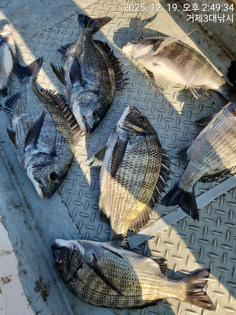 ����ڰ� �ø� �̹���