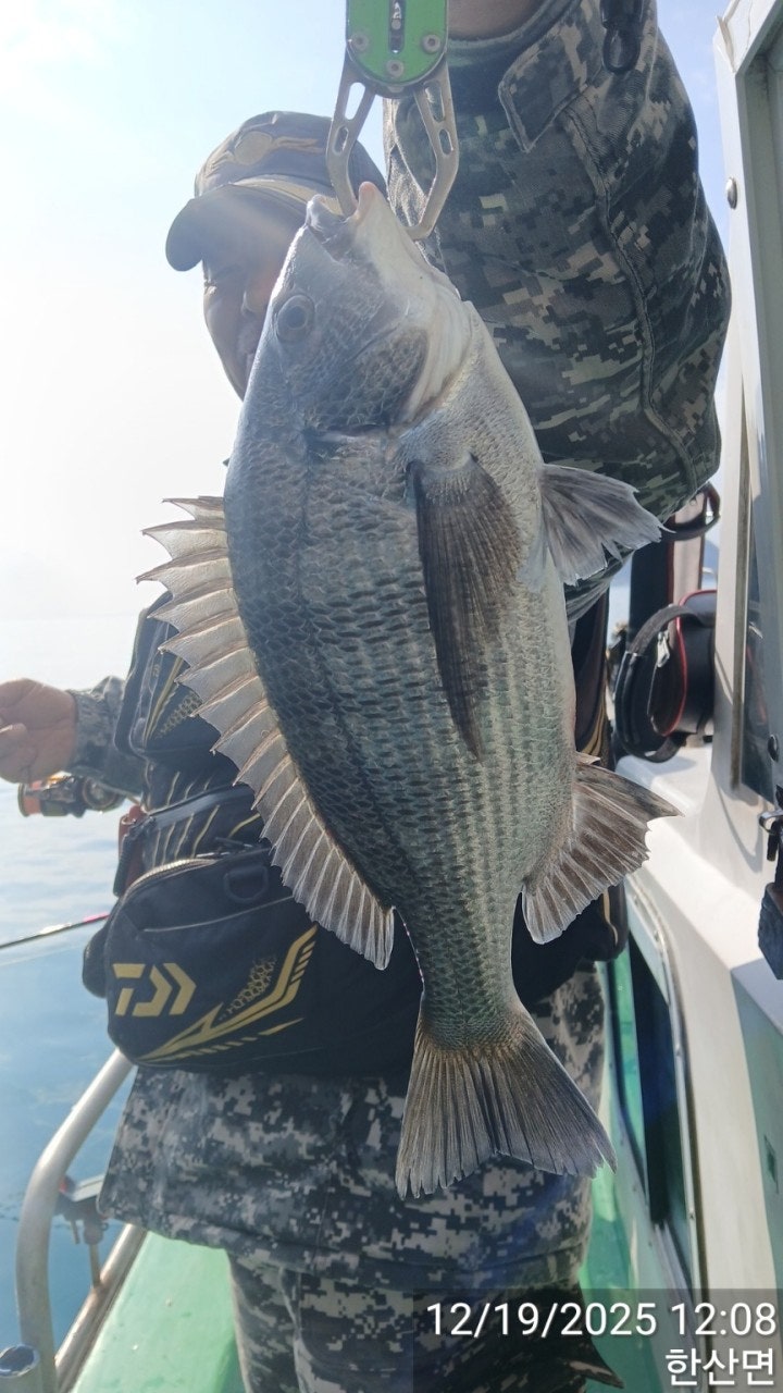 ����ڰ� �ø� �̹���