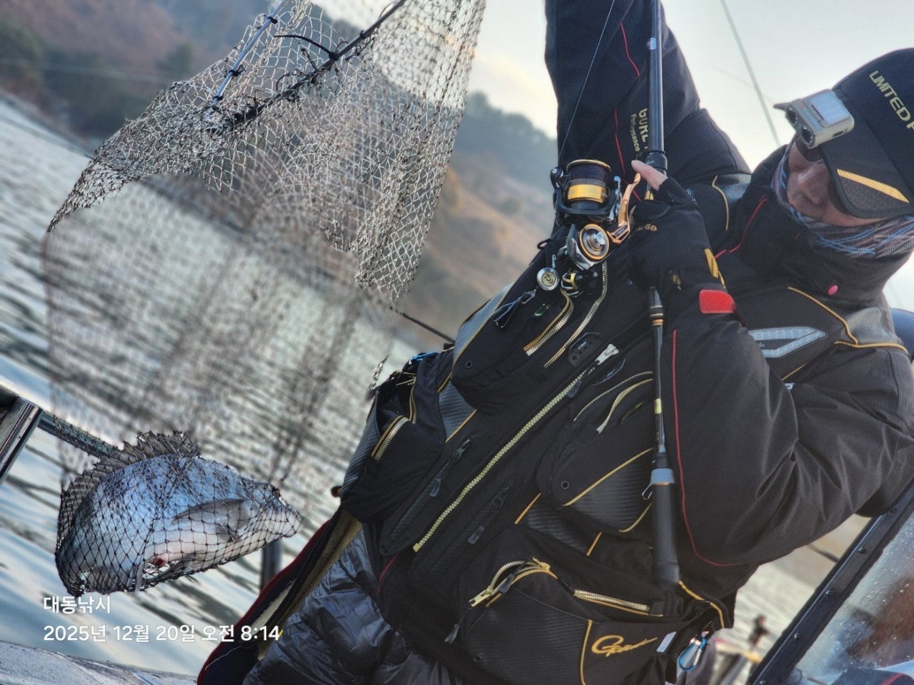 ����ڰ� �ø� �̹���