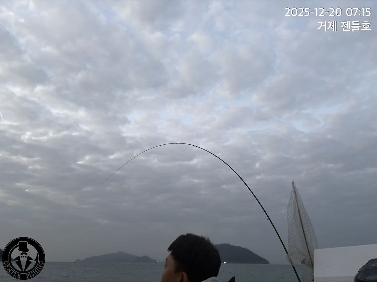 ����ڰ� �ø� �̹���