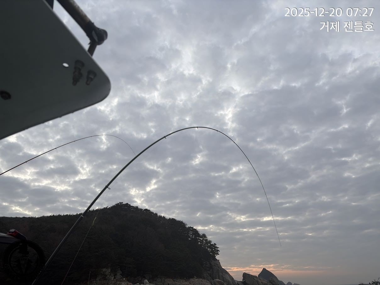 ����ڰ� �ø� �̹���