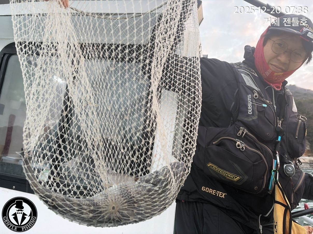 ����ڰ� �ø� �̹���