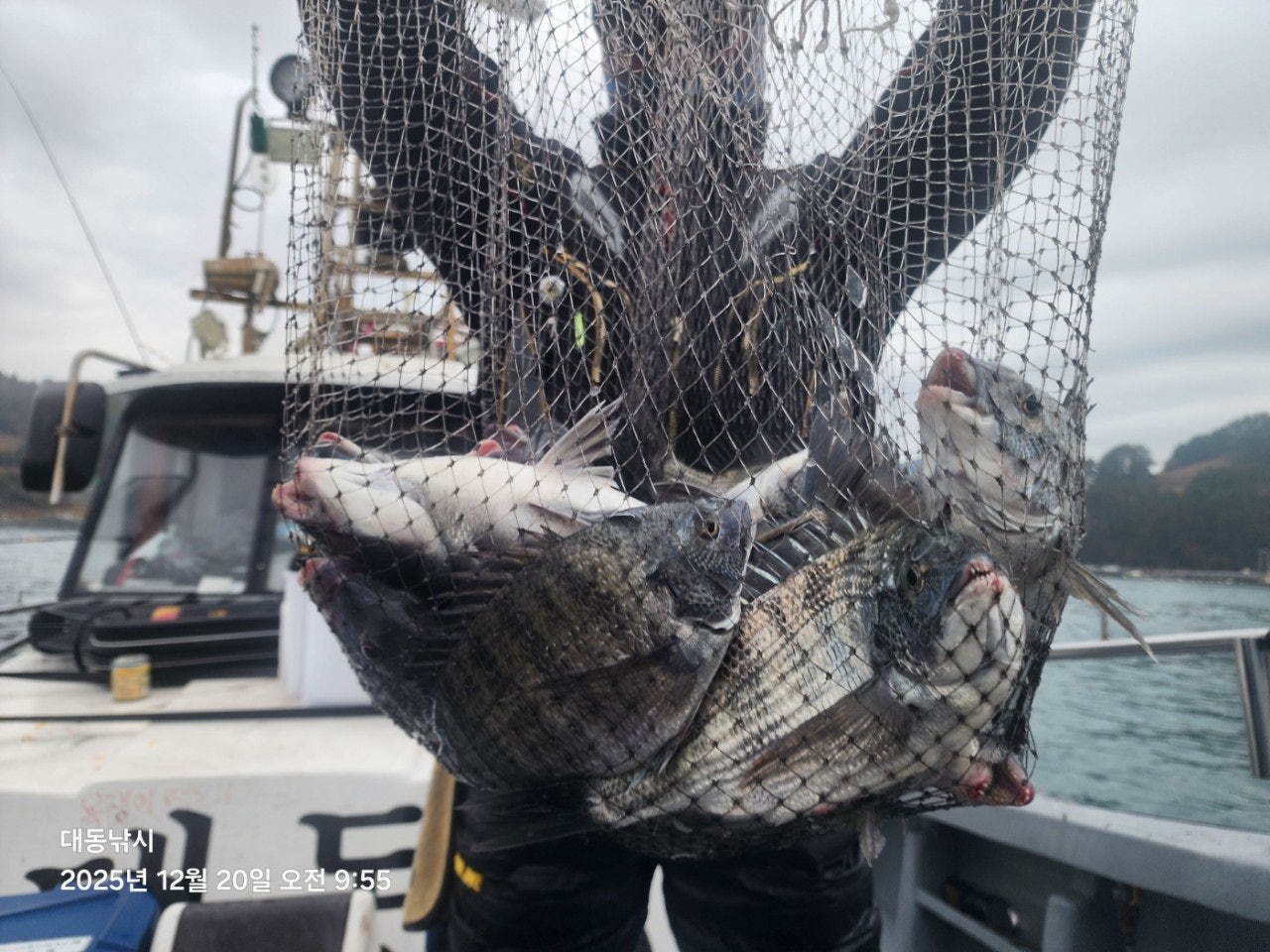 ����ڰ� �ø� �̹���