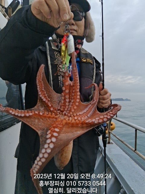 ����ڰ� �ø� �̹���