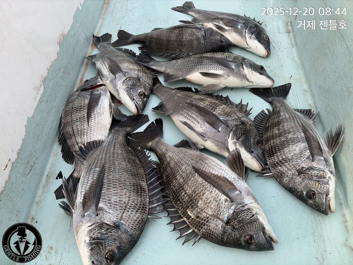 ����ڰ� �ø� �̹���